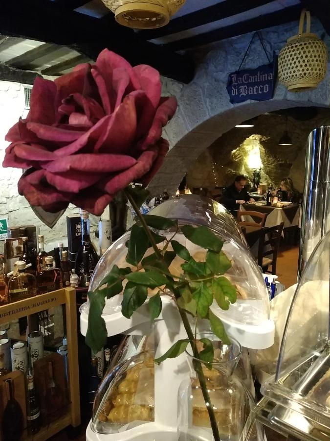 Bed & Breakfast Cantina Di Bacco San Marino